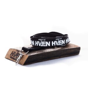 Key lanyard